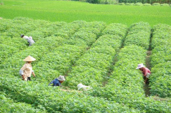 Mac如何重装系统？苹果电脑重装系统技巧